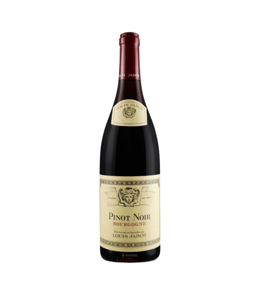 WINO Louis Jadot Pinot Noir